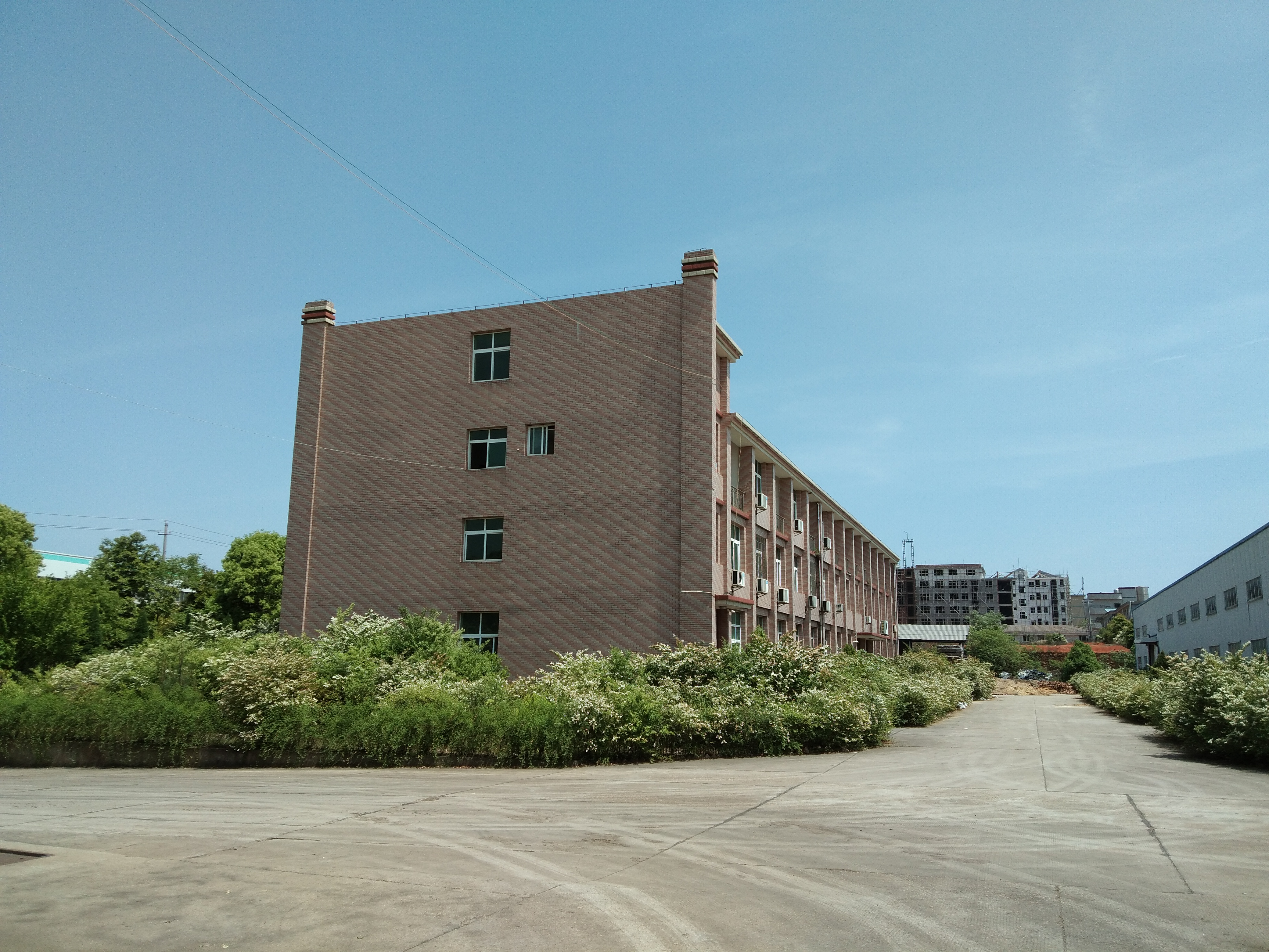 公司簡介